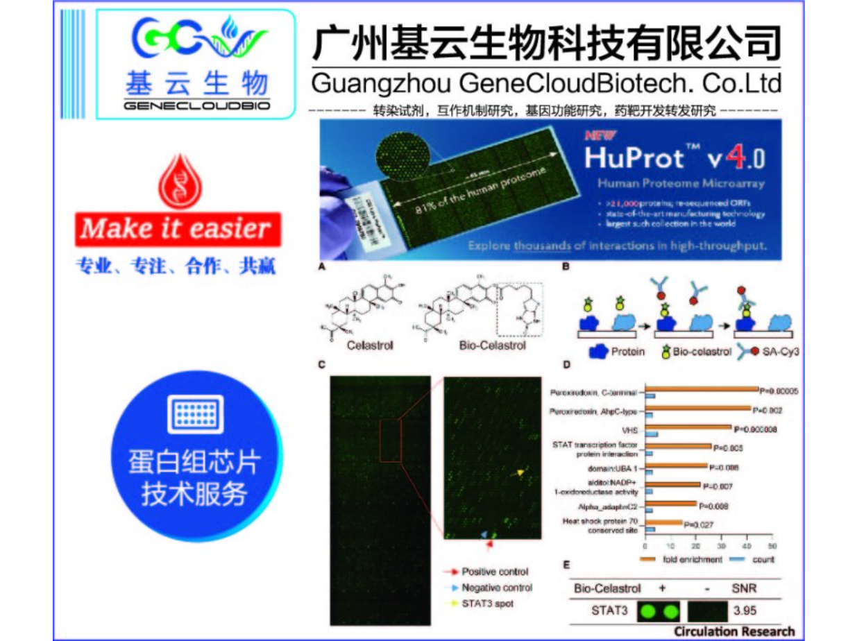 海南CDI蛋白组芯片HuProt技术服务