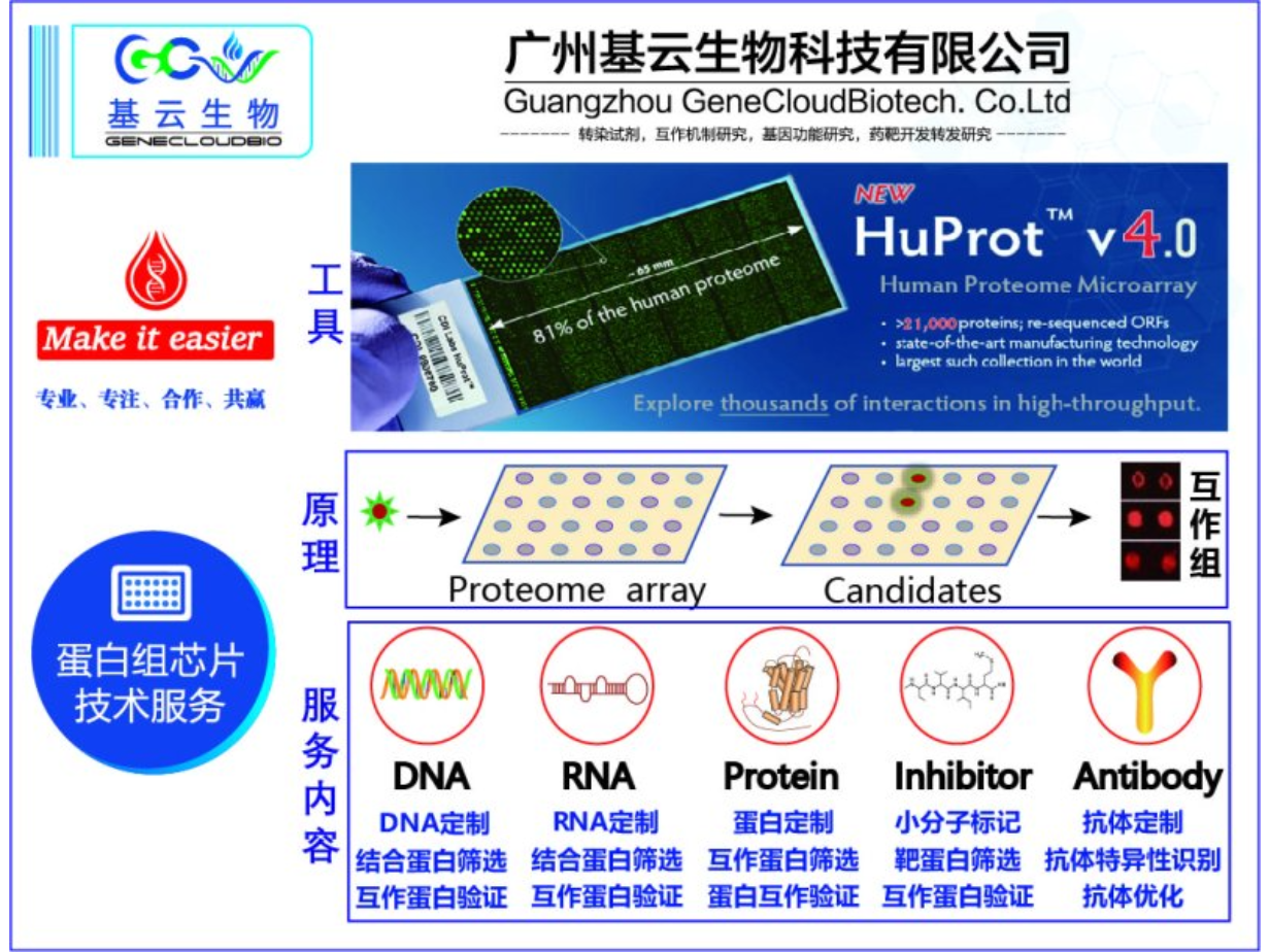 安徽人蛋白组芯片HuProt产品,蛋白组芯片
