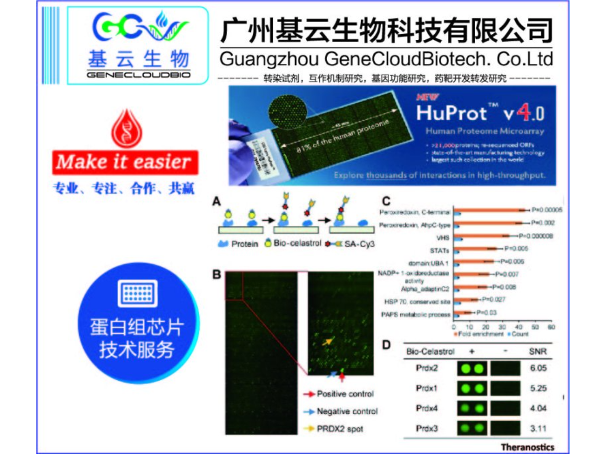 广西蛋白组芯片HuProt服务