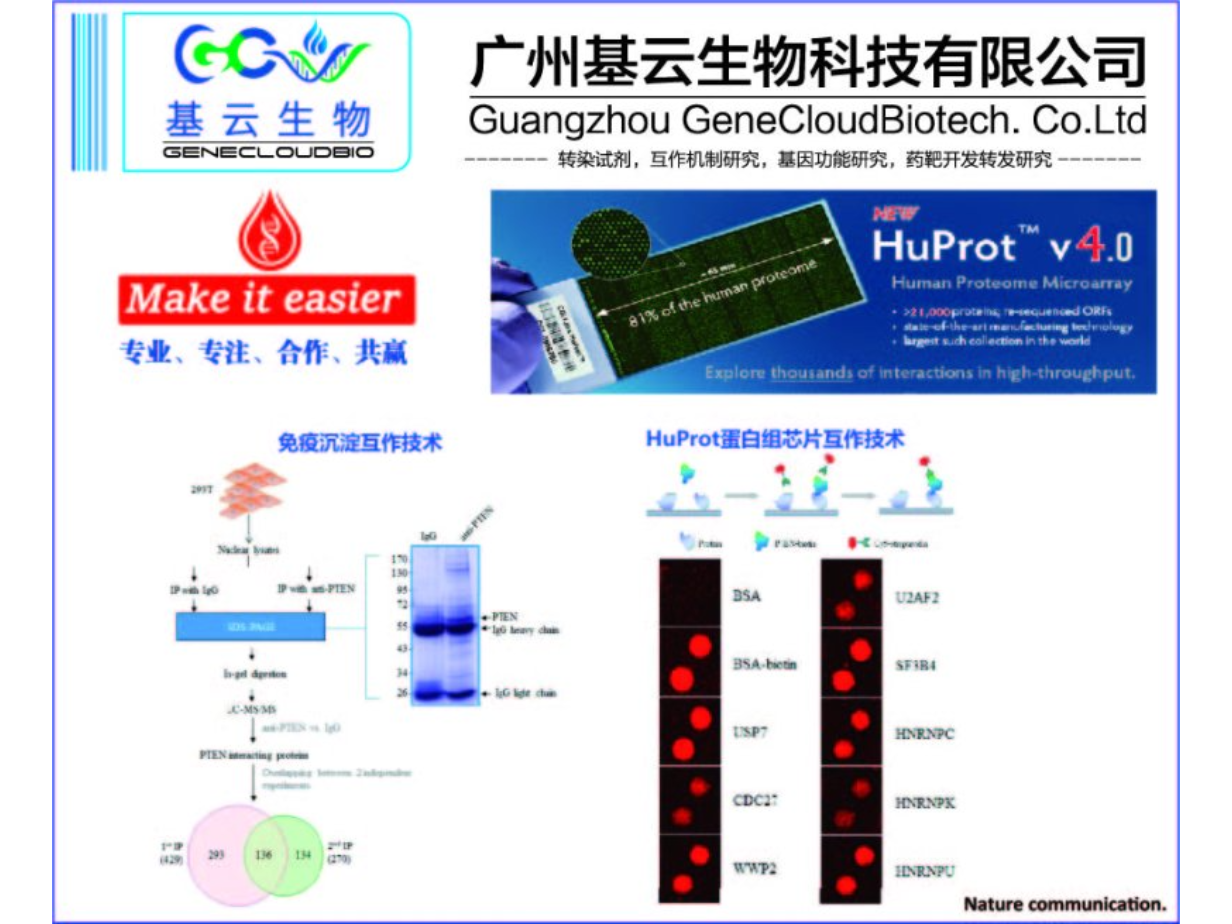 广西20K蛋白组芯片HuProt