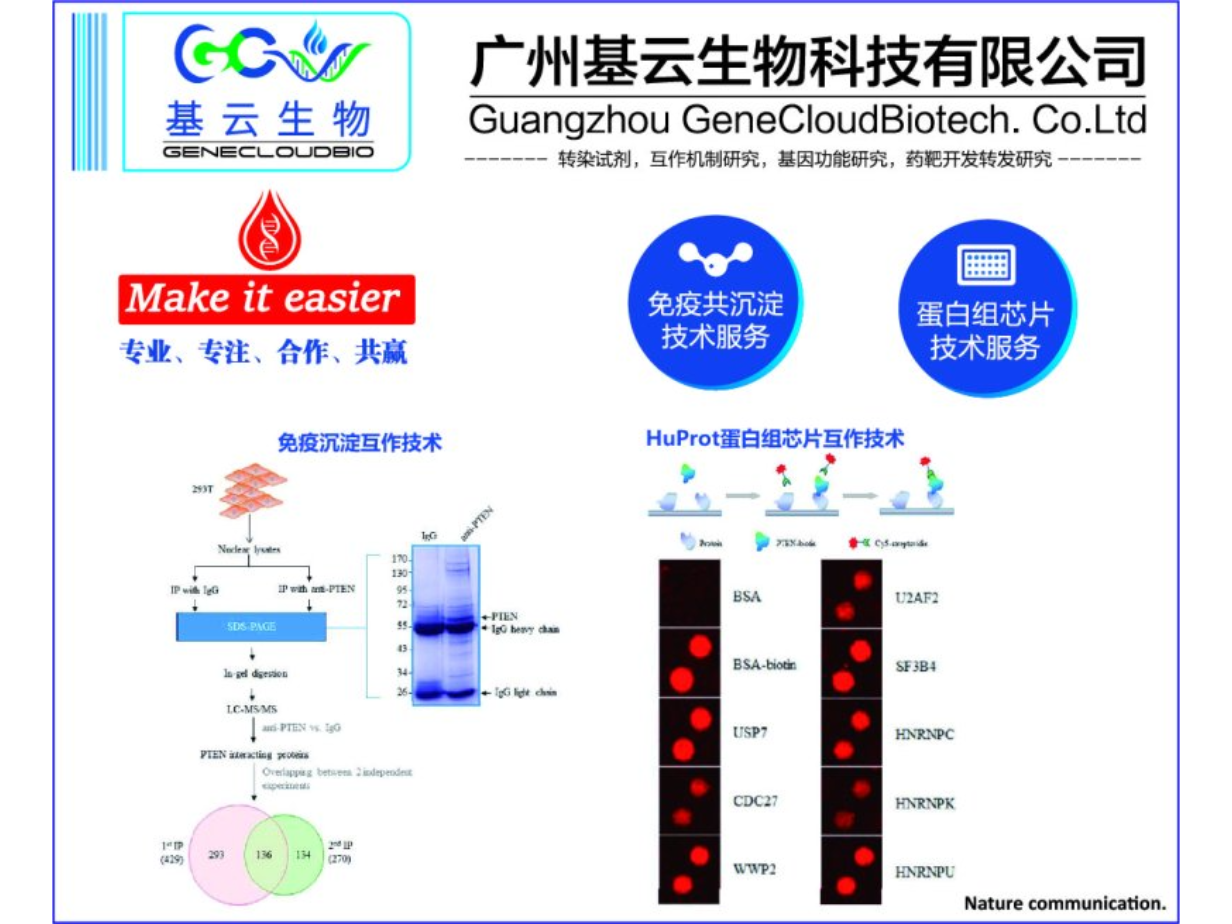 上海互作蛋白检测CoIP mass spectrometry检测