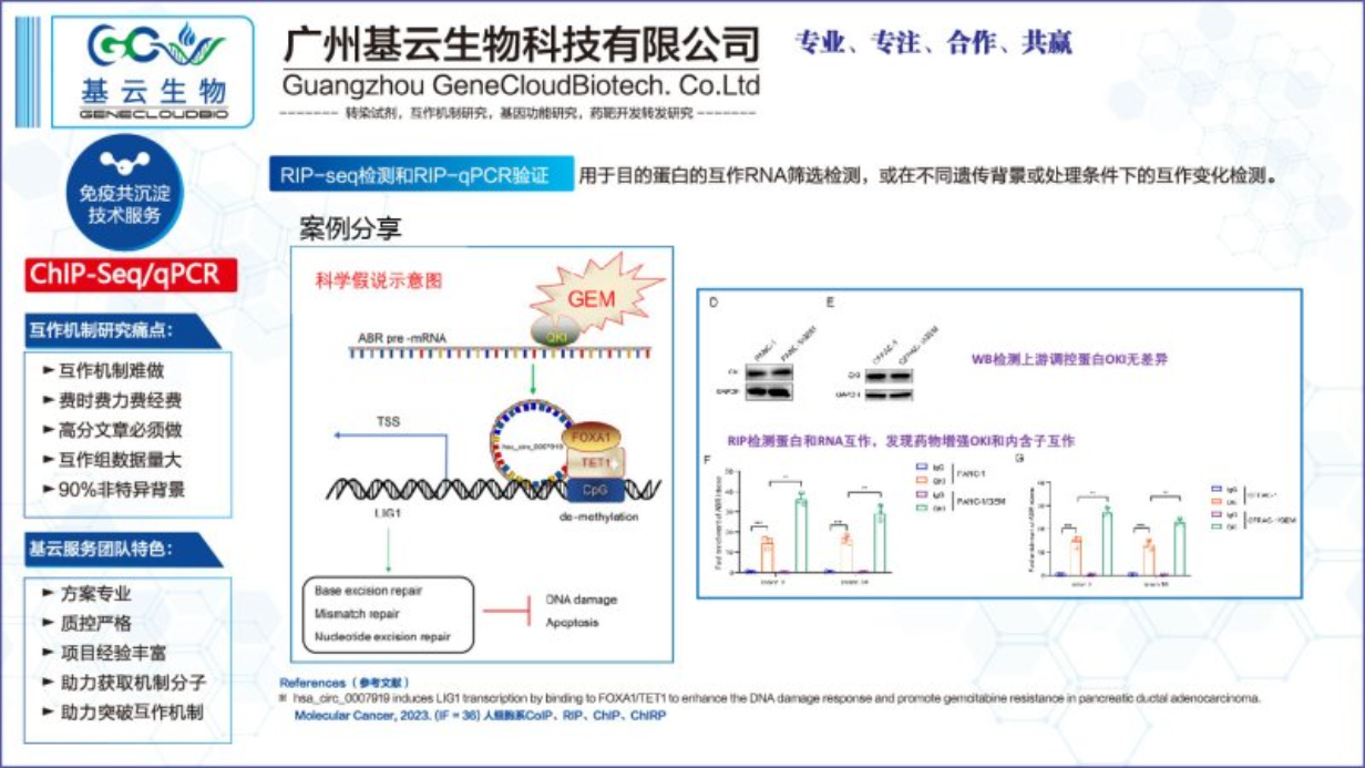 海南RNA蛋白相互作用RIP Sequence