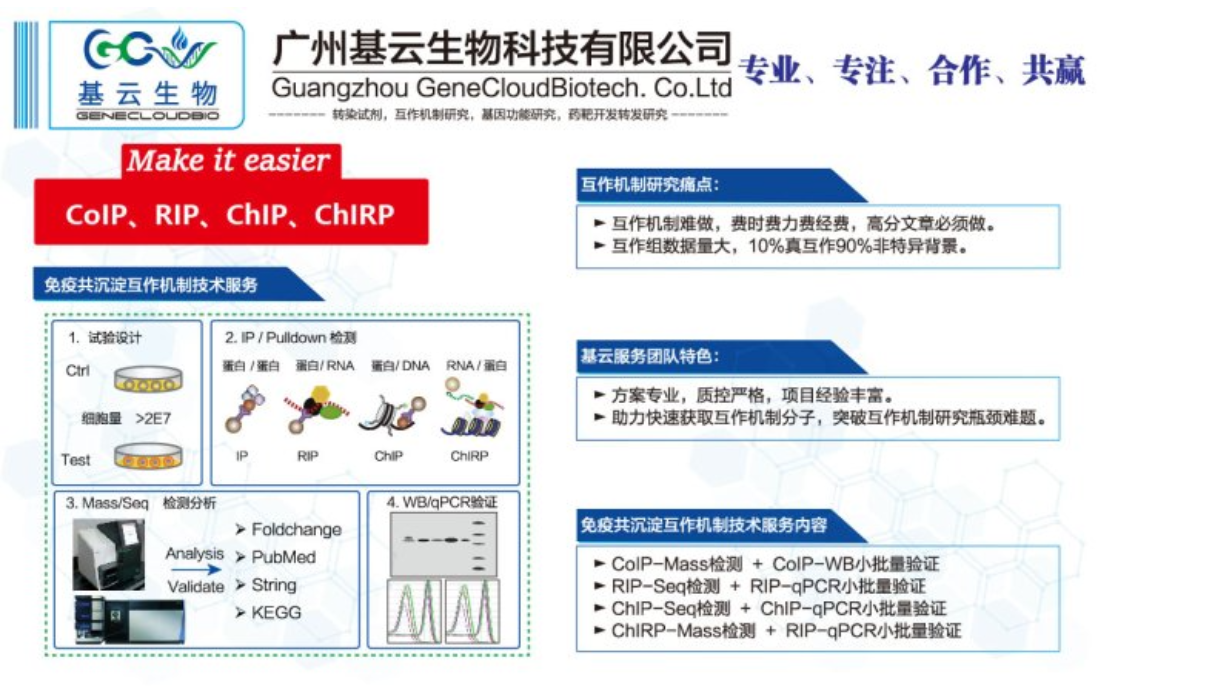 染色质蛋白相互作用检测ChIP-RT-PCR