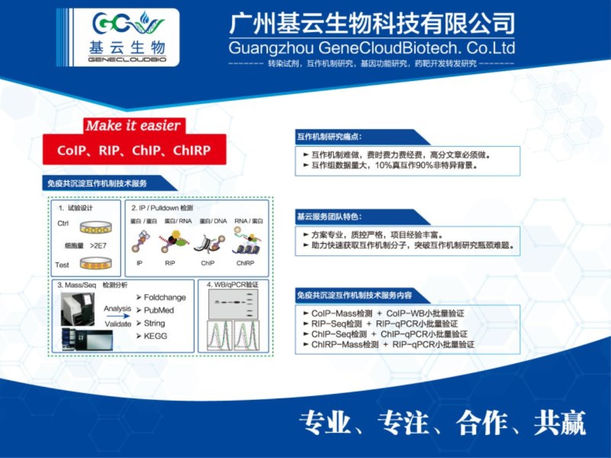 贵州ChIP RT-PCR