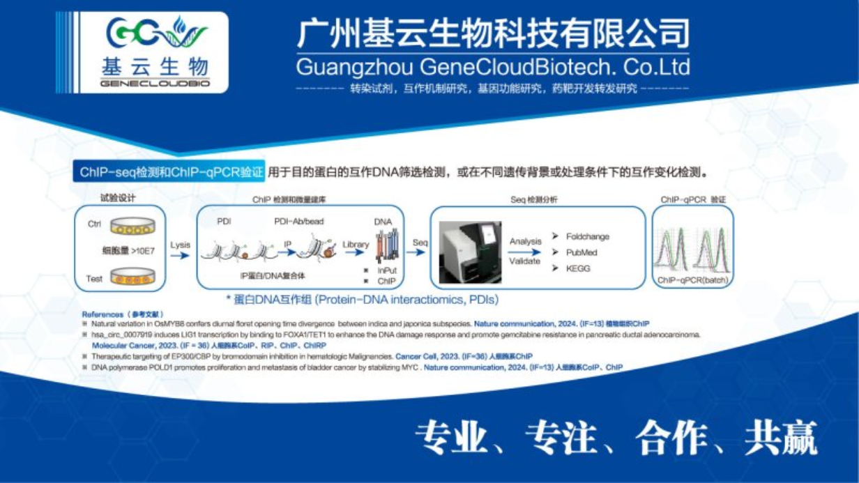 北京ChIP-PCR