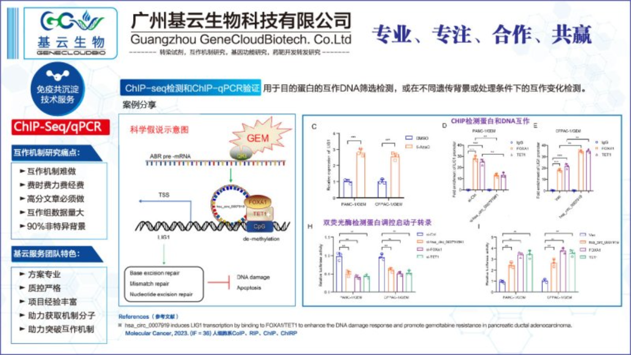 染色体蛋白互作检测ChIP RT-PCR检测