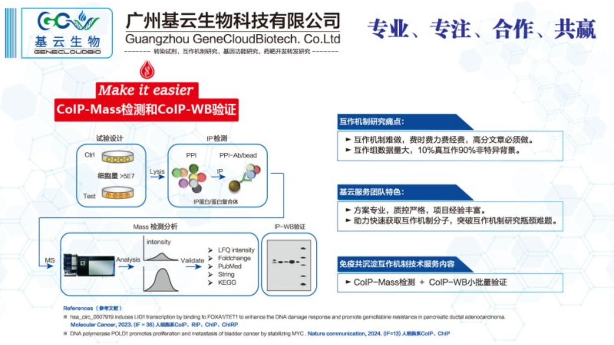 中国香港相互作用蛋白检测CoIP-MS