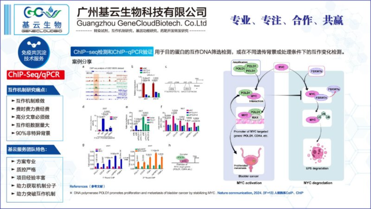 chromosome蛋白相互作用检测ChIP RT-PCR检测