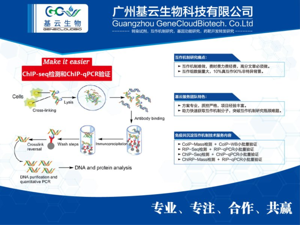 重庆ChIP PCR检测