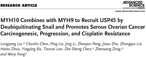 MYH10招募去泛素化酶USP45促进卵巢AI顺铂耐药
