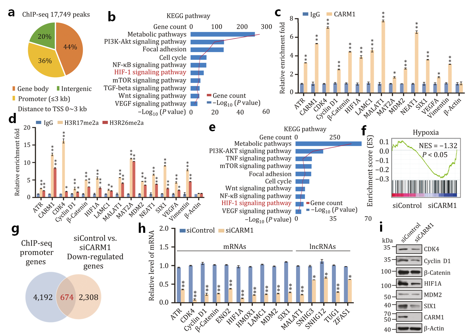 ChIP-seq