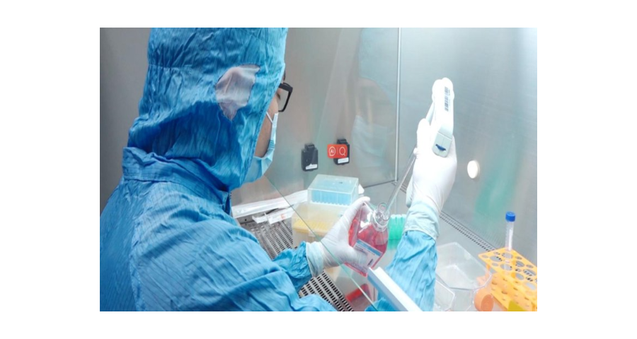 云南细胞冻存细胞冻存液 创造辉煌 上海埃泽思生物科技供应