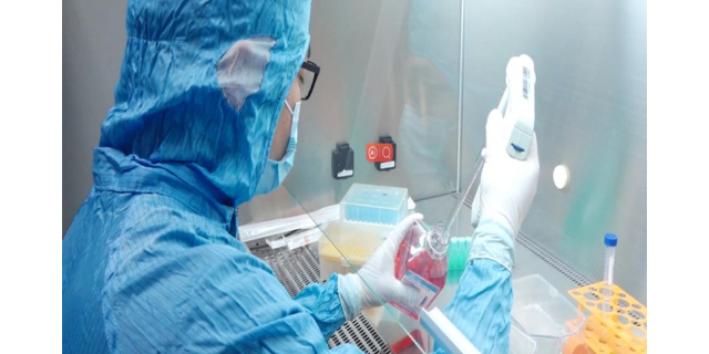 山西干细胞分化试剂盒 值得信赖 上海埃泽思生物科技供应