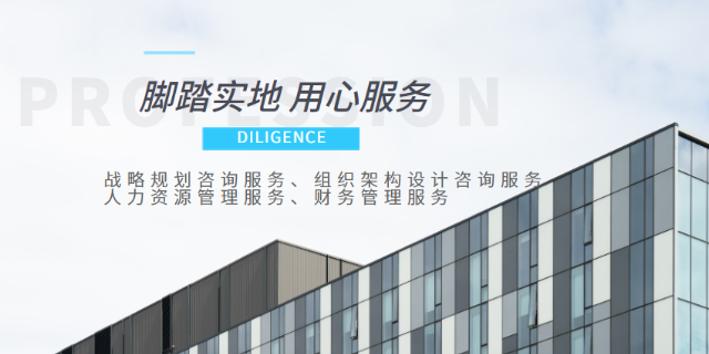 组织设计 咨询公司