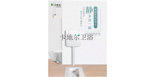 河南卫浴批发壁挂式水箱管径 广东省卡地尔卫浴科技供应