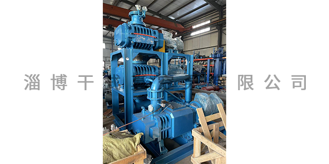 上海气冷式罗茨真空泵厂家 淄博干式真空泵供应