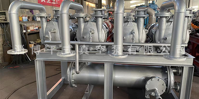 吉林液环真空泵定制 淄博干式真空泵供应