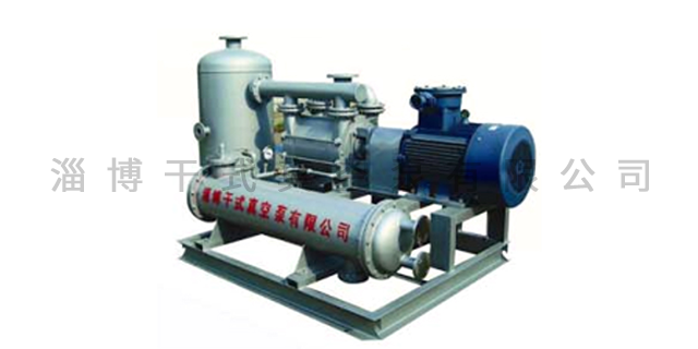 安徽2SK水环真空泵定制 淄博干式真空泵供应