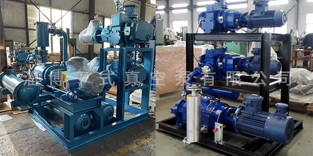 上海罗茨真空泵维修 淄博干式真空泵供应