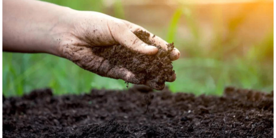 农业土壤氮磷钾检测