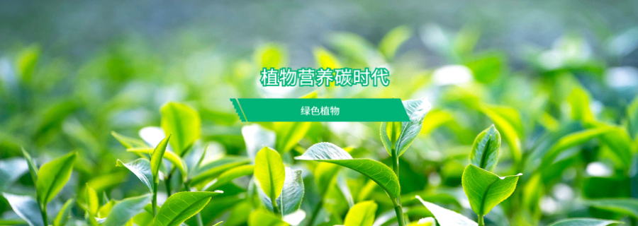 湖南易知源植物亞硝酸還原酶檢測 來電咨詢 南京易知源檢測技術供應