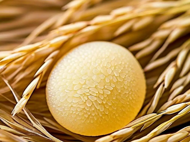 浙江第三方植物總氮檢測(cè) 誠(chéng)信服務(wù) 南京易知源檢測(cè)技術(shù)供應(yīng)