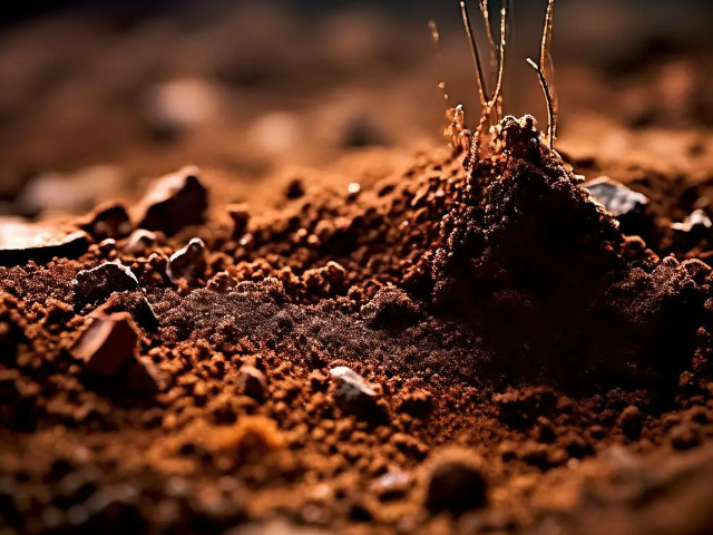 土壤养分检测,土壤