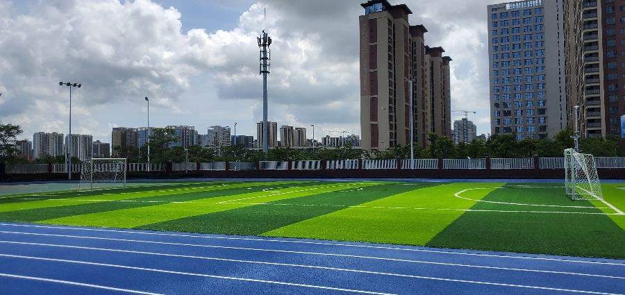 福建品牌人造草坪,人造草坪