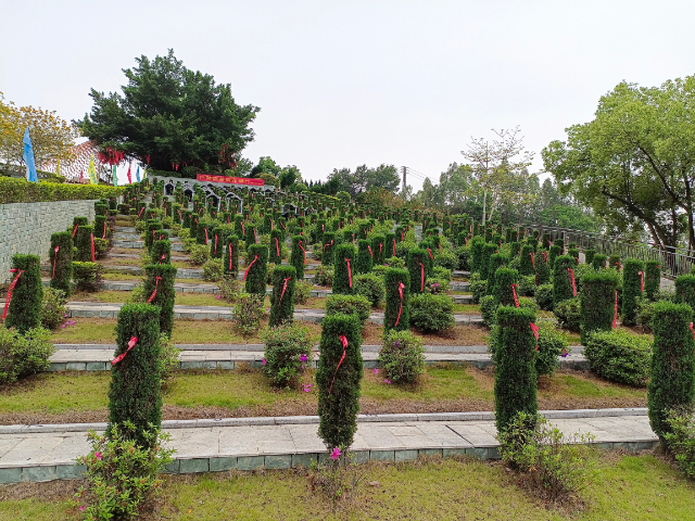 龙岗区简单殡仪哪家好