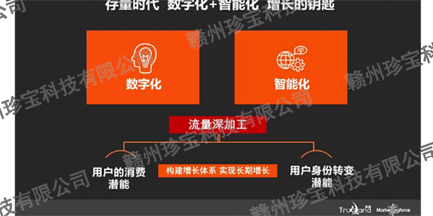 赣州仪器网站搭建 服务为先 赣州珍宝信息技术供应