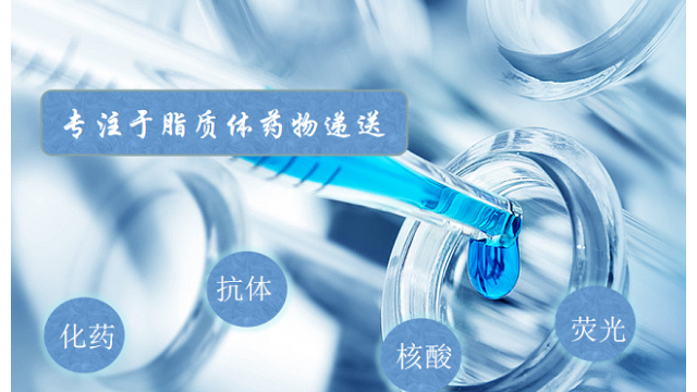 安徽脂质体载药DNA 贴心服务 南京星叶生物科技供应