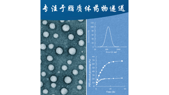 山东企业脂质体载药 客户至上 南京星叶生物科技供应