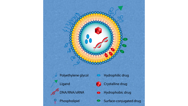 河北西安脂质体载药 值得信赖 南京星叶生物科技供应