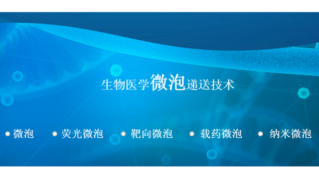 重庆microbubble超声微泡 诚信经营 南京星叶生物科技供应