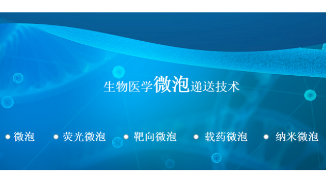 上海超声微泡抗体 来电咨询 南京星叶生物科技供应