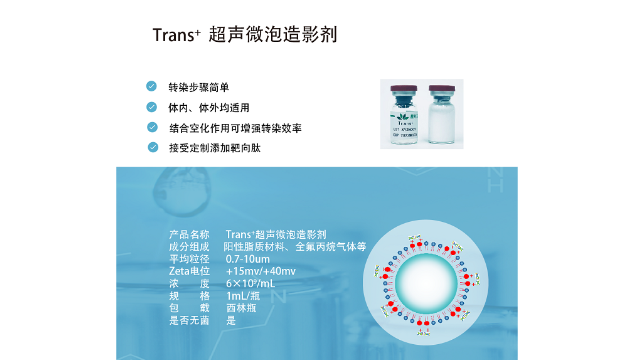 江苏制备超声微泡 创新服务 南京星叶生物科技供应