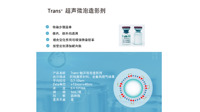 山西超声微泡专业 诚信经营 南京星叶生物科技供应