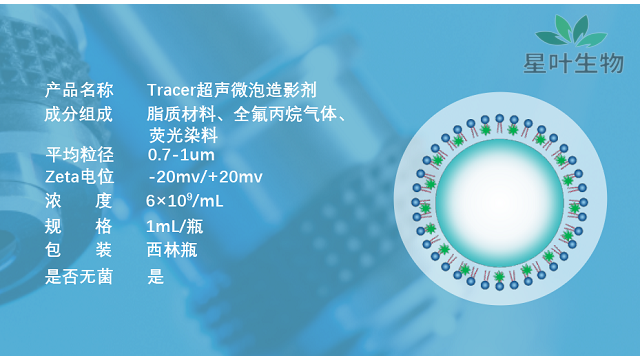 四川全氟丙烷超声微泡 贴心服务 南京星叶生物科技供应