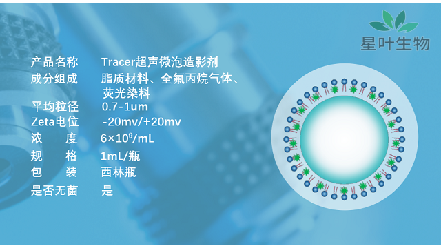 山东超声微泡气泡