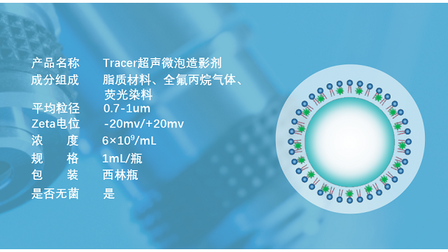 重庆超声微泡脂质 欢迎来电 南京星叶生物科技供应