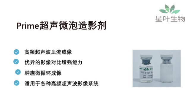 安徽合成超声微泡 贴心服务 南京星叶生物科技供应