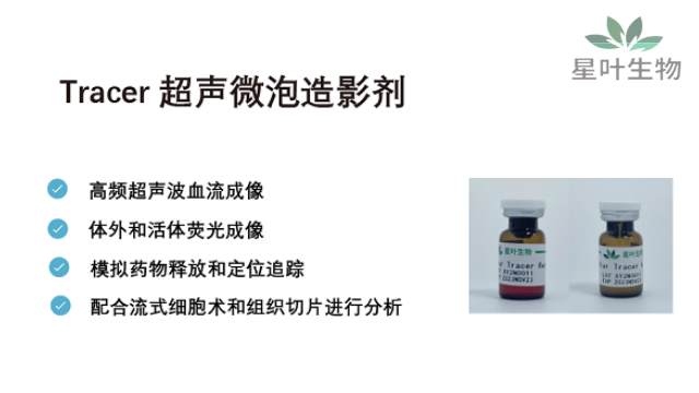 陕西纳米超声微泡 创新服务 南京星叶生物科技供应