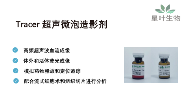 吉林超声微泡蛋白 欢迎来电 南京星叶生物科技供应