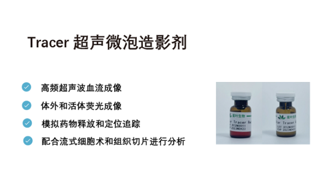 天津超声微泡脂质 欢迎咨询 南京星叶生物科技供应;