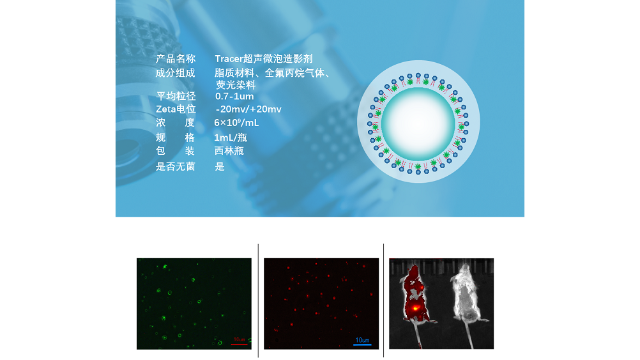 山东超声微泡对比剂 贴心服务 南京星叶生物科技供应