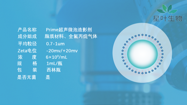 吉林超声微泡给药 创新服务 南京星叶生物科技供应