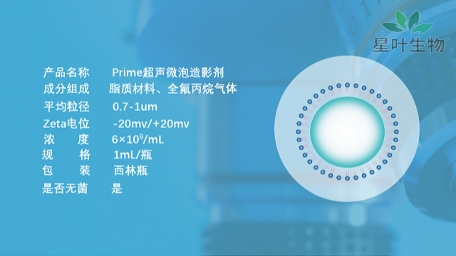 中国台湾肺靶向超声微泡 来电咨询 南京星叶生物科技供应