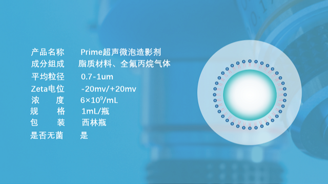 山西超声微泡递送效率 服务至上 南京星叶生物科技供应