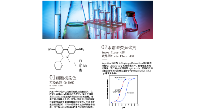 免疫荧光荧光染料Alexa fluor