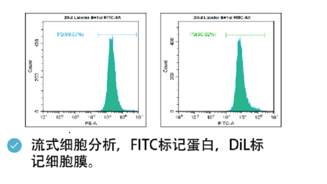 中国香港青岛荧光染料 创新服务 南京星叶生物科技供应
